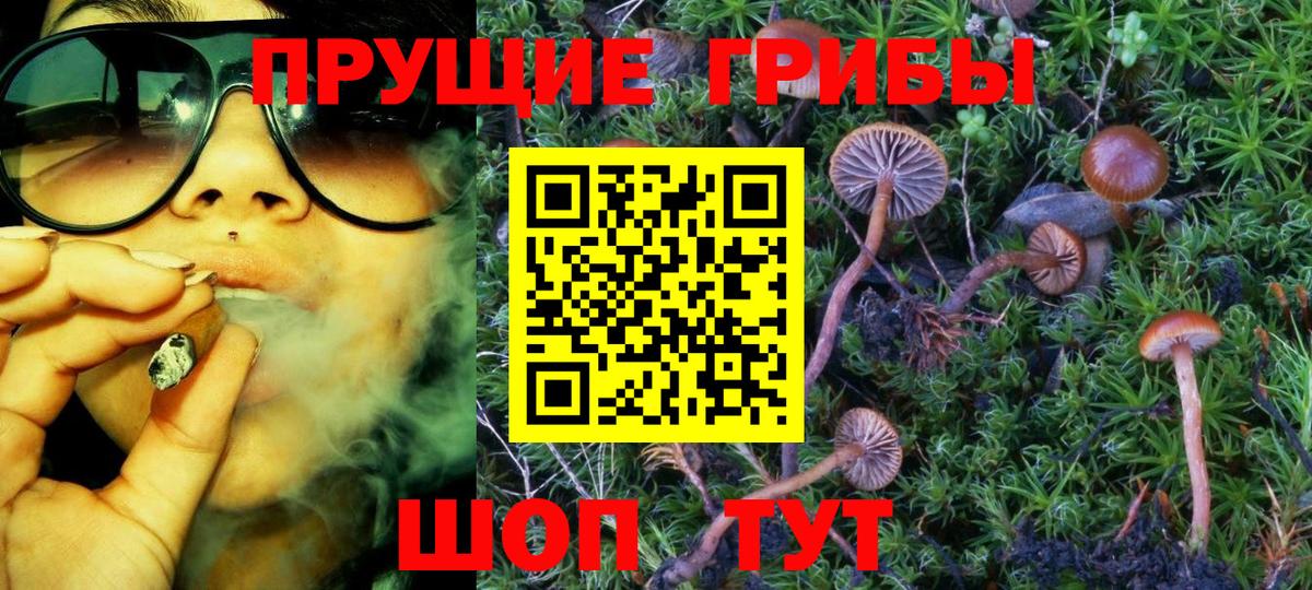 Псилоцибиновые грибы Cubensis  Вход с VPN  Обь 